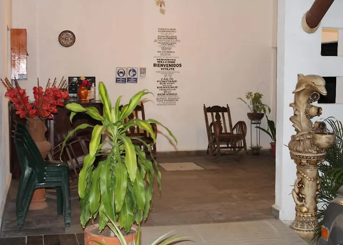 Bm Zihua Pensión